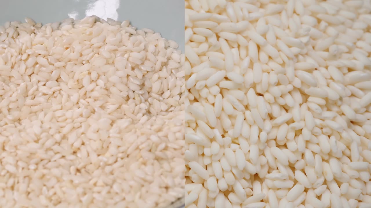 $3 Rice VS $100 Rice!!! Why is This EXPENSIVE