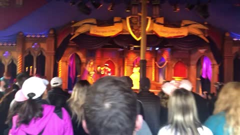 DisneyLand Performance January 2019