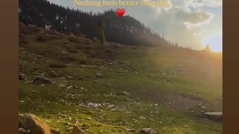 Peace in Mountains ❤️