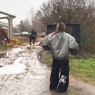 What kind of Pokemon is this