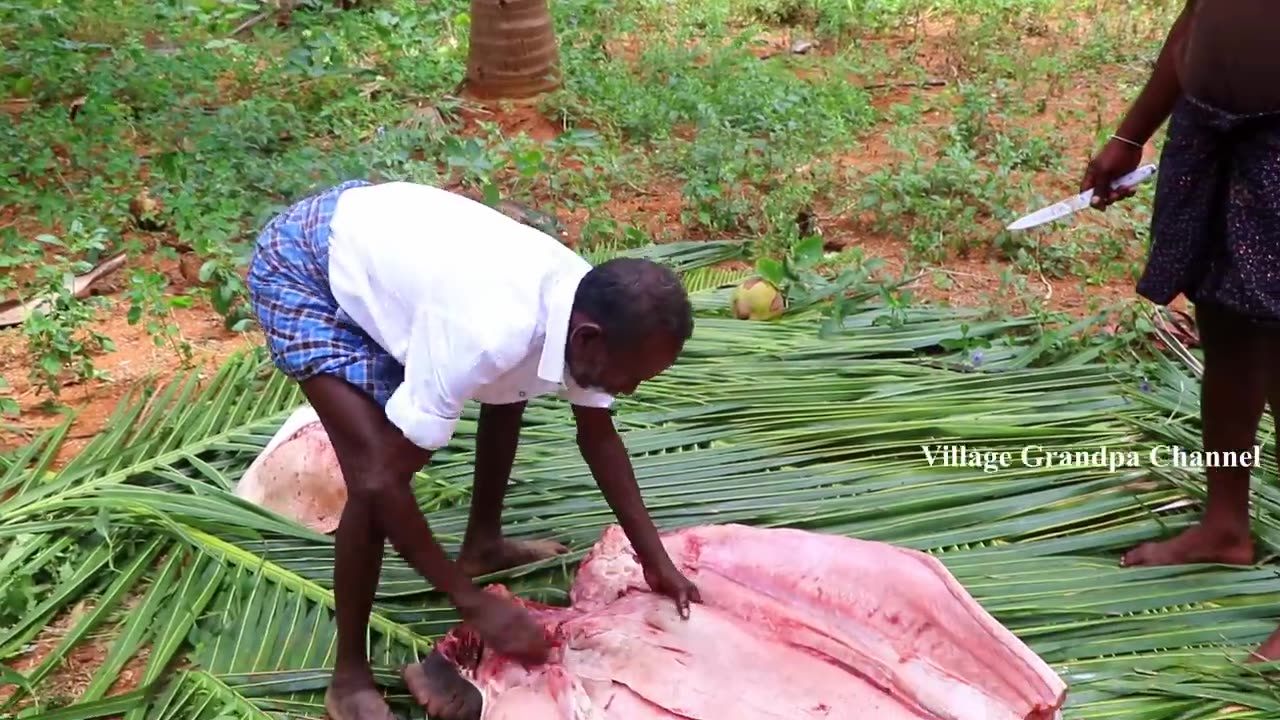 150 Kg GIANT TIGER SHARK FISH RECIPE