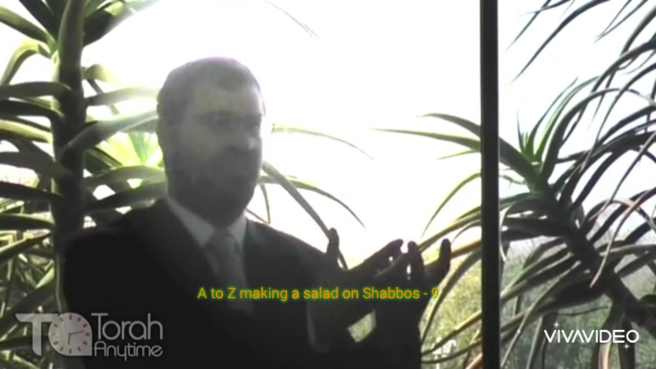 A to Z making a salad on Shabbos - 9 (Video #9 of 10)