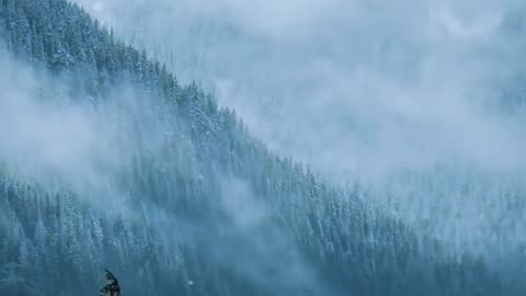 waterfall sound music | natural videos in world 4k | rainy weather