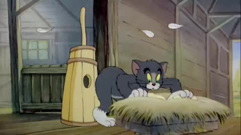Cartoon videos