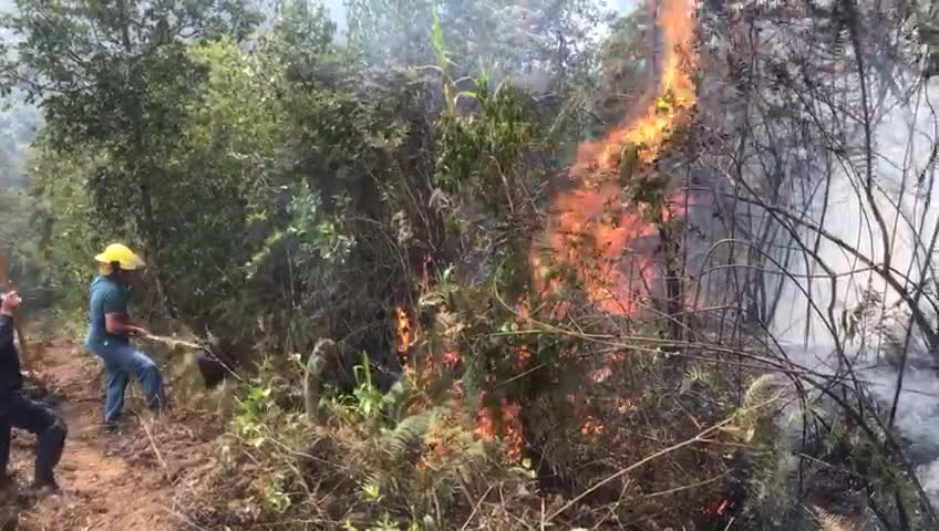 Incendio entre San Gil y Bucaramanga ha consumido más de 25 hectáreas