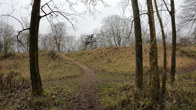 Hiking to a tiny woodland to make a poop hole . Speedlapse GoPro