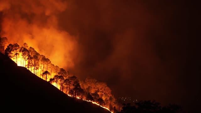 Wildfire on the Mountain