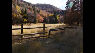 Entire village of Sasquatch, Bigfoot Shelters