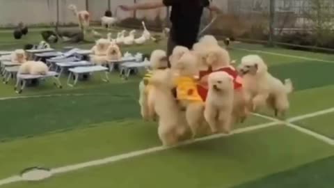 Skipping rope together 😊😍