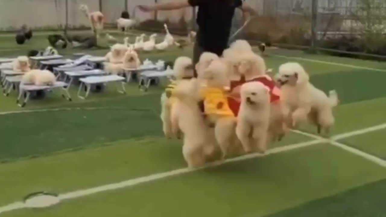 Skipping rope together 😊😍