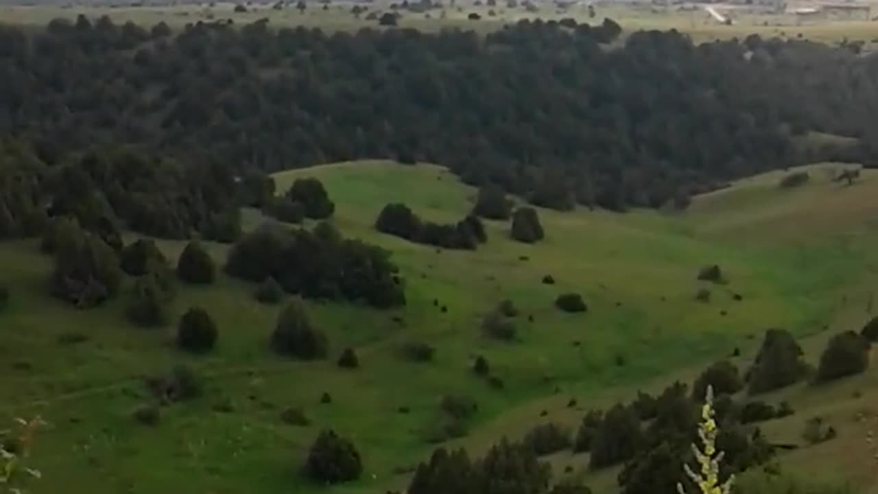 Adventure Video