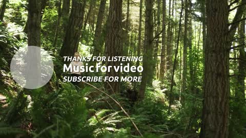 Best Country Carefree Music for Video [ Tennessee Pistols - Giddy Up ]