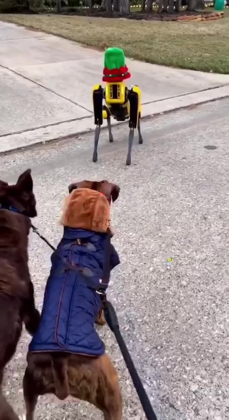 Stanno scherzando con il fuoco 👉😵‍💫👈