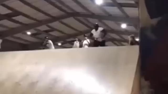 Best Funny video on the internet