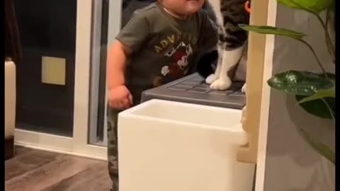 Funny||cat||video||🤣🤣🤣