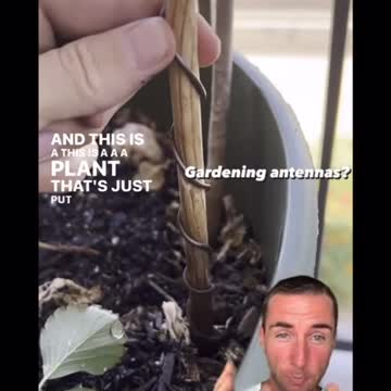 Electroculture Gardening Techniques for Beginners - Elevate your garden - Cultivate Elevate