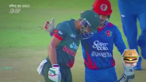 Bangladesh vs Afghanistan Asia Cup 2023 highlights