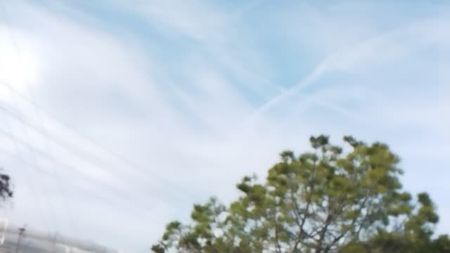 Chem trails X in the sky means poison or virus alegidly.