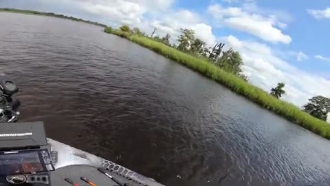 Fishing TOPWATER ONLY for GIANT Bass River Fishing