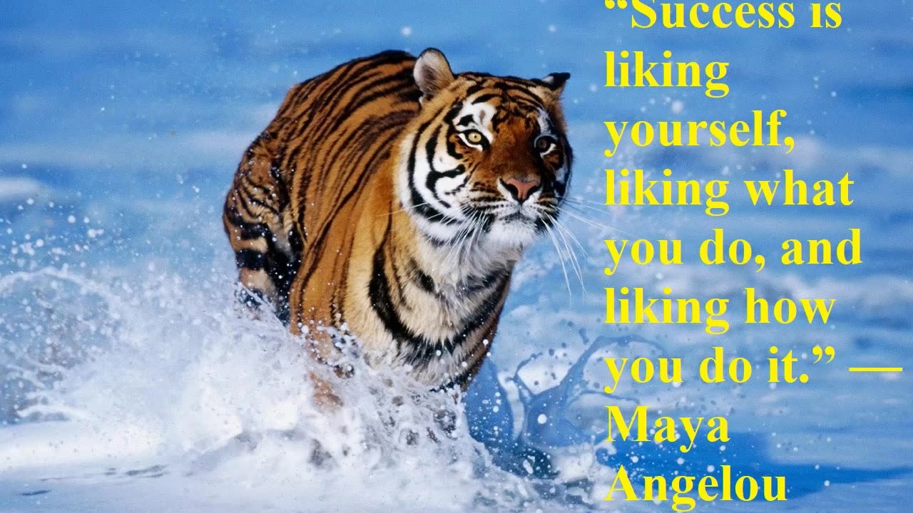 Success is liking yourself