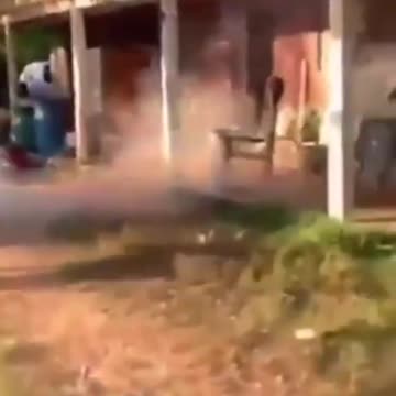 Try not to laugh 😂 Funny animal