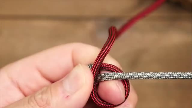 Tibet snake