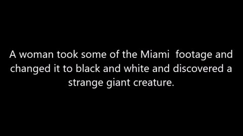 Breaking News Finally a video of the 10' NEPHELIME creature in Miami as emerged