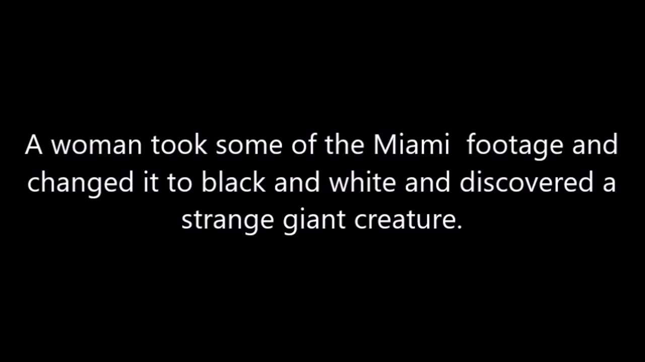 Breaking News Finally a video of the 10' NEPHELIME creature in Miami as emerged