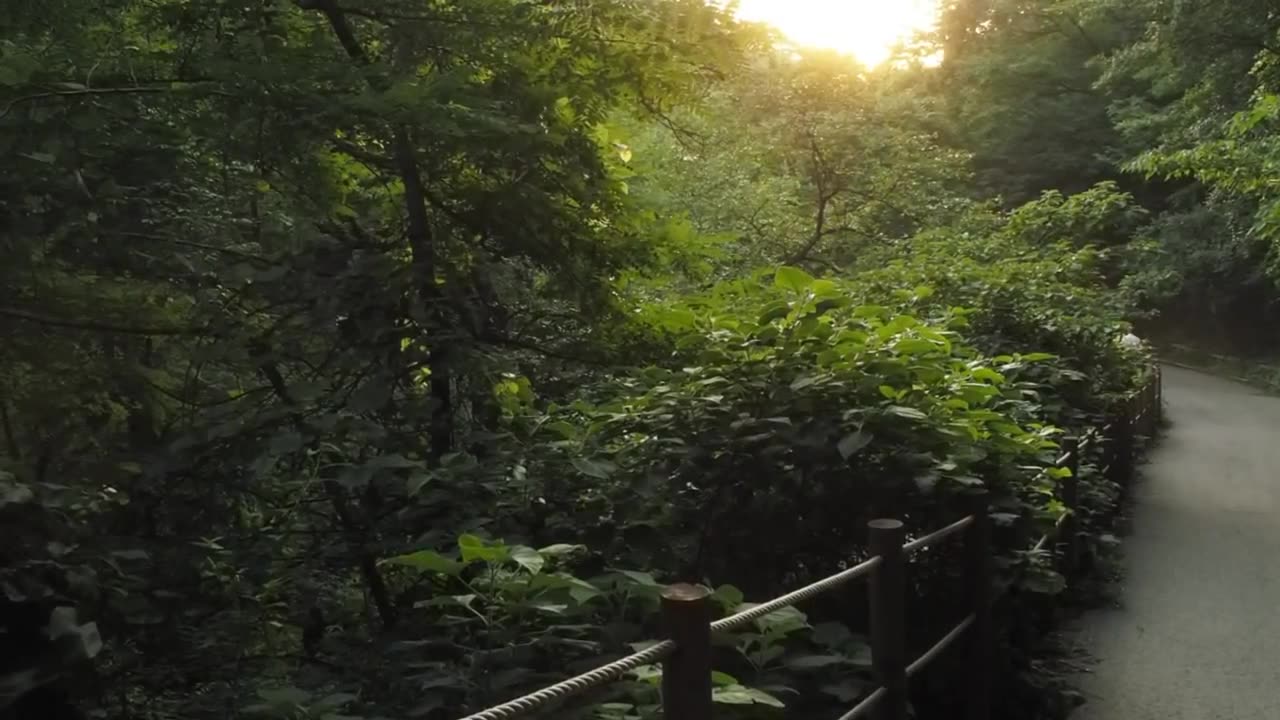 Mudunsan National Park walk, Gwangju, South Korea.