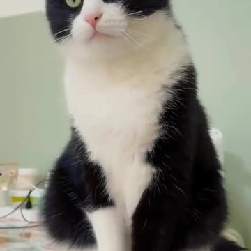 Here's a crook with a mustache