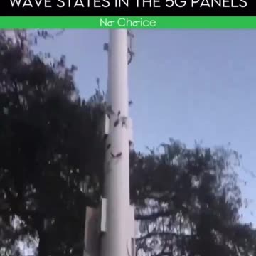 5G Masts get no where near enough attention