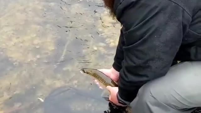can't wait for some ice off fishing this weekend!