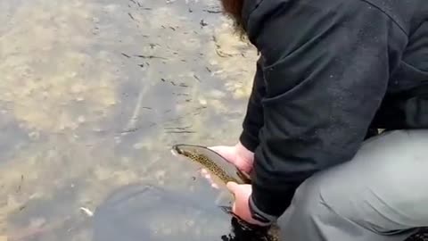 can't wait for some ice off fishing this weekend!