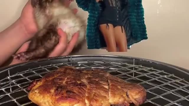 😋ferret does another dish for you