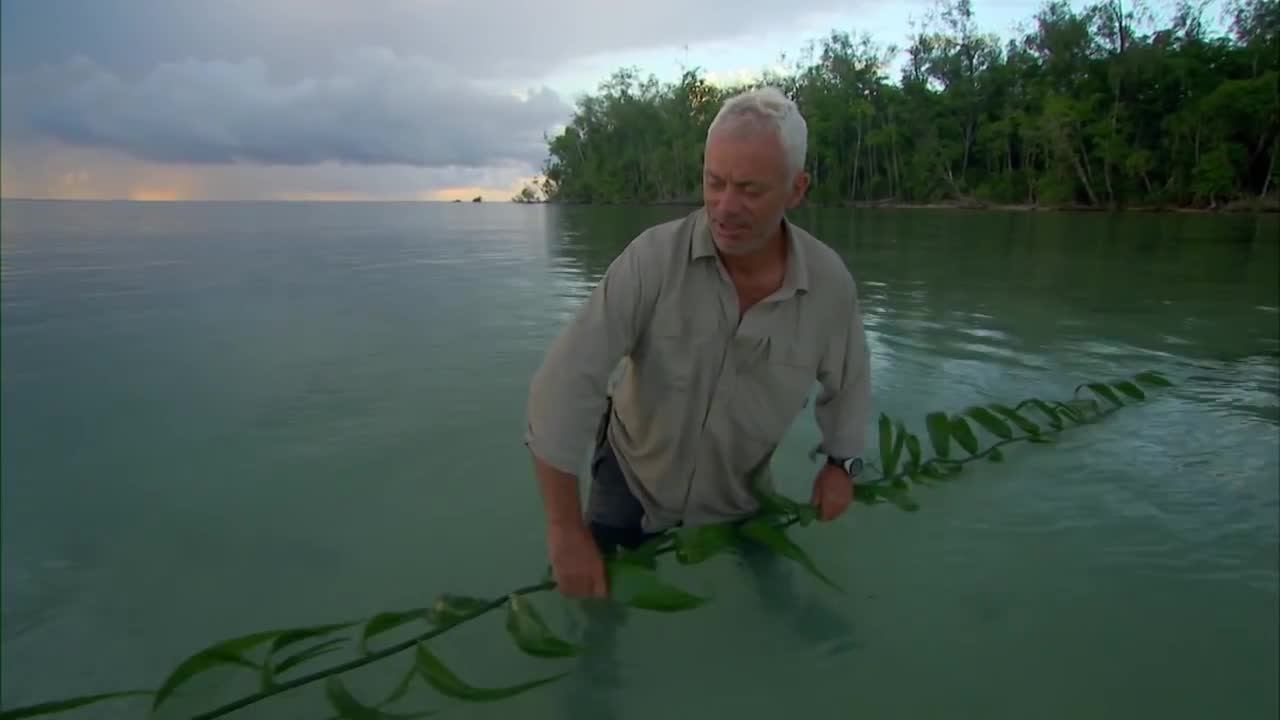 Incredible Tribal Method To Catch Fish! | SPECIAL EPISODE! | River Monsters