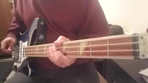 The Go Go's - We Got The Beat Bass Cover