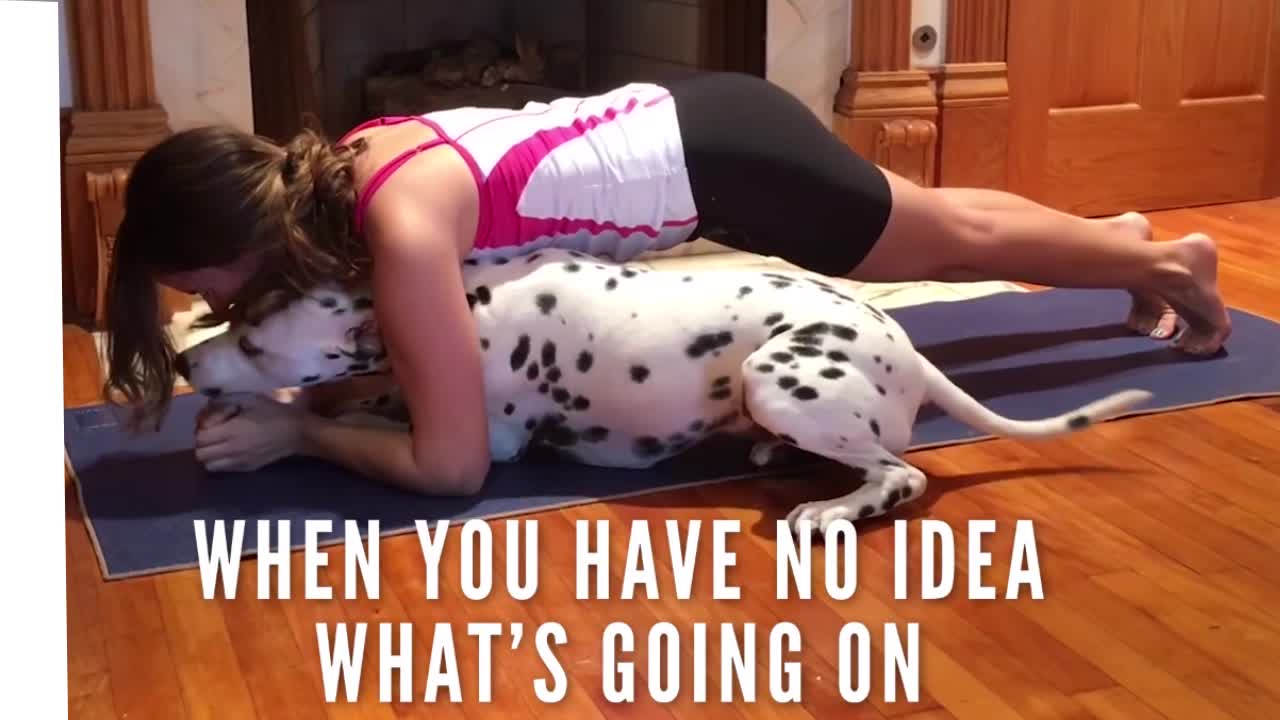 Dog Yoga- Pup Is Really Happy To Be In His Mom's Yoga Workout - The Dogee.