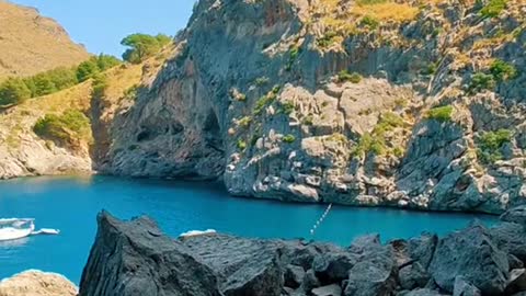 mazing view 🏞️🌿