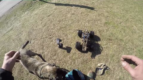 losi LMT gets muddy
