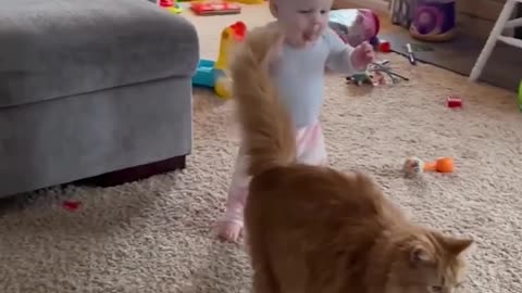 cat and baby playing together