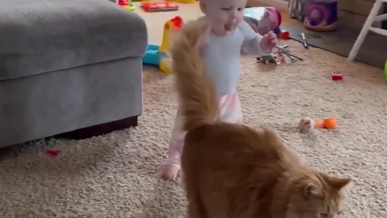 cat and baby playing together