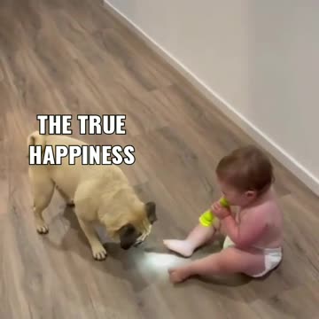 True Happiness😀