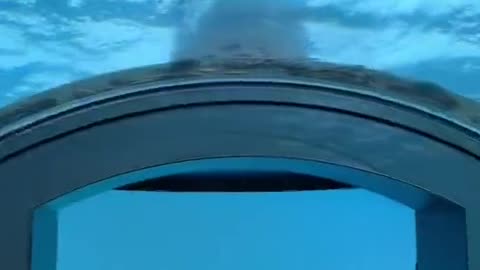 First time sleeping in an undersea hotel