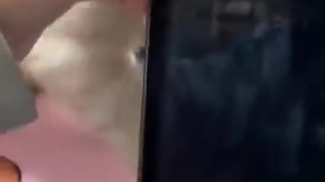 And comedy video bilauta and funny video and