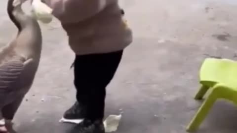 Baby funny video 😅😅😅