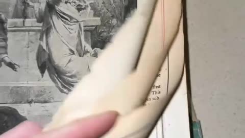 HAVE YOU EVER SEEN A “HOLY LAND” MAP FROM AN 1892 BIBLE?