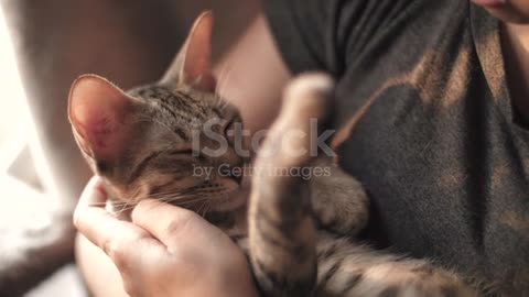 a women hugging her kitten