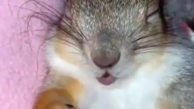 Cute... 😘😘😍😍😍