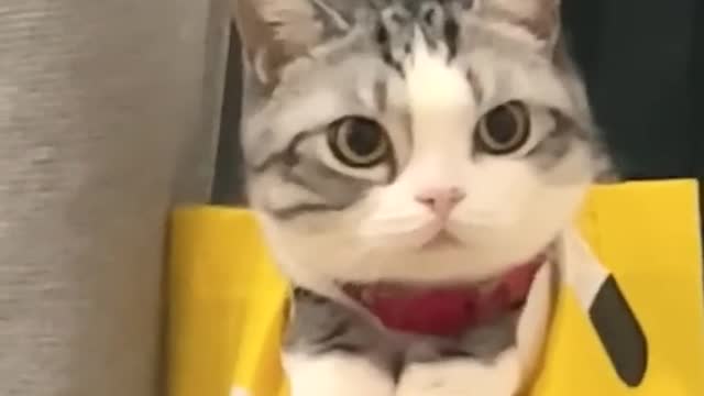 So cute 🥰