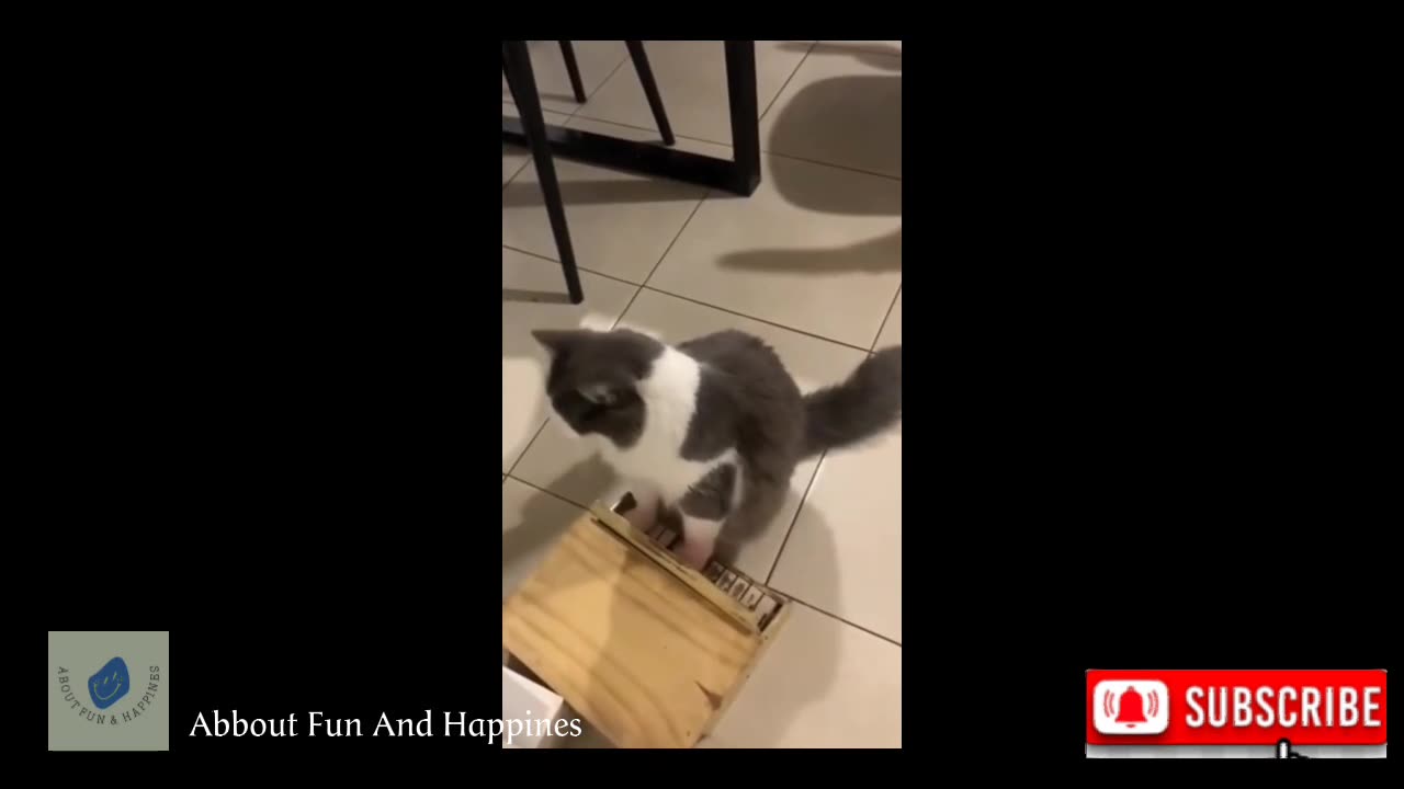 Funniest Cats And Dogs Videos 😂 - Best Funny Animal Videos 2023 #15